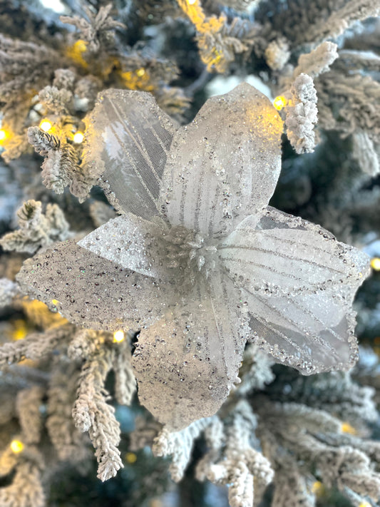 White & Silver Poinsettia