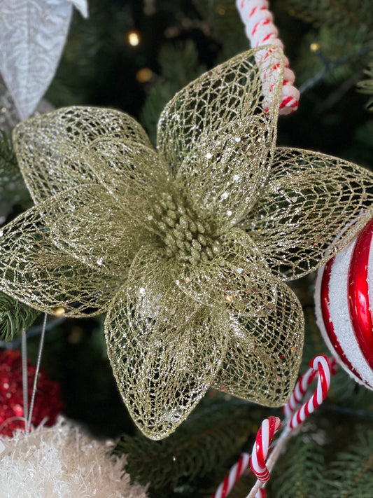 Champagne Netted Poinsettia