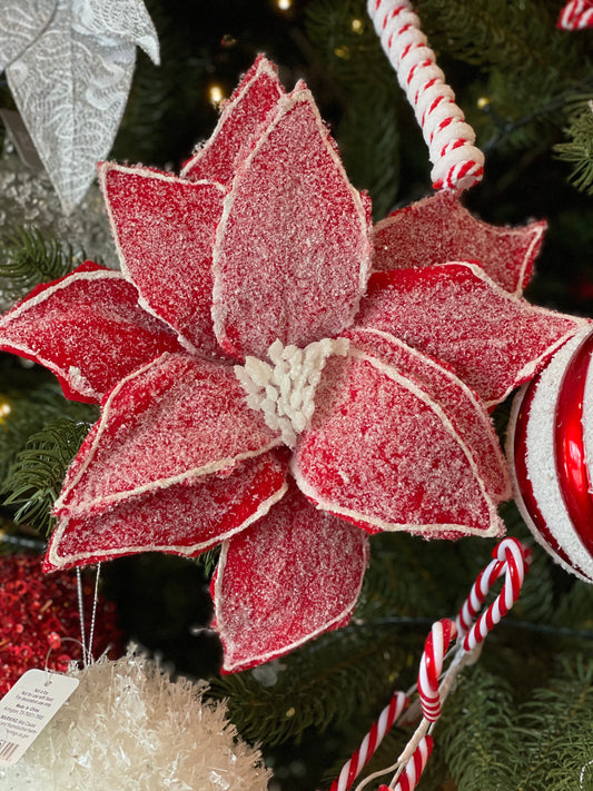 Red & White Frosted Poinsettia