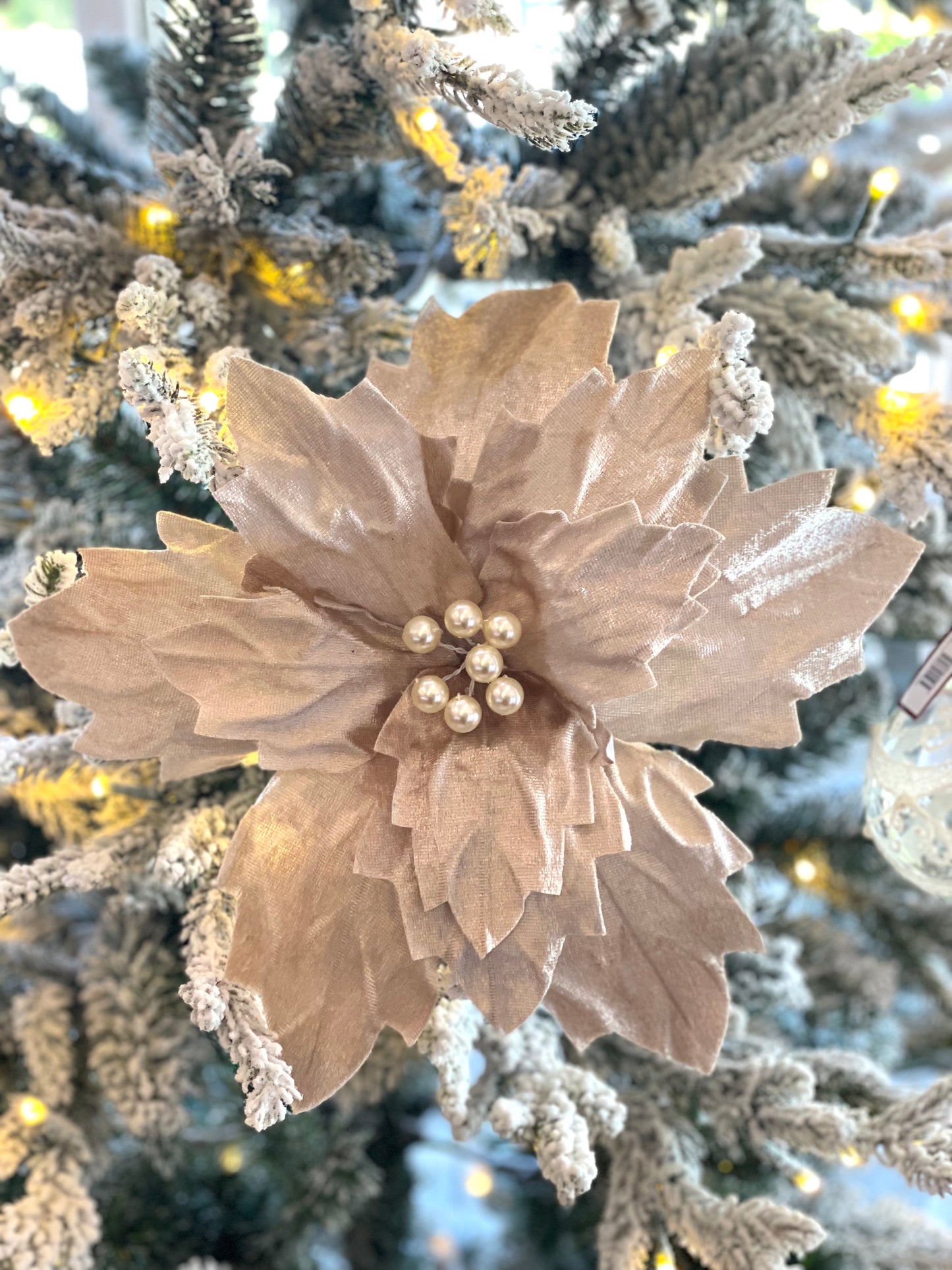 Champagne Crinkle Flower