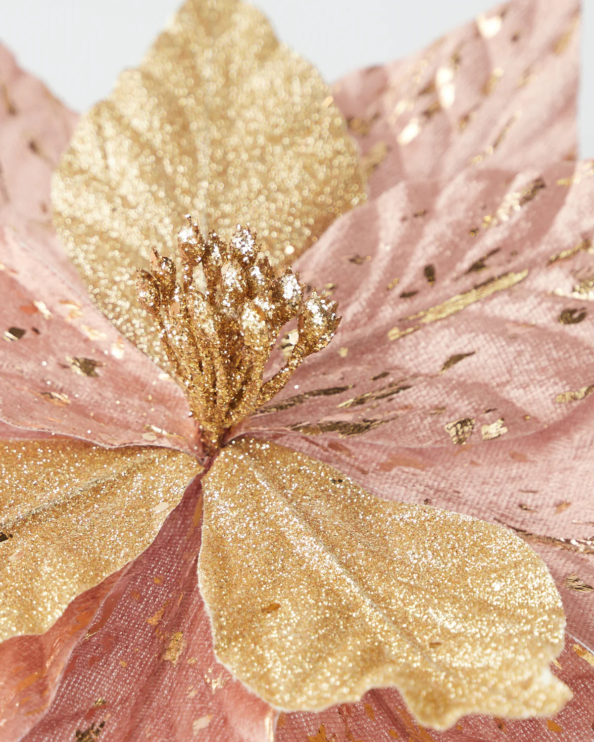 Rose Gold Poinsettia