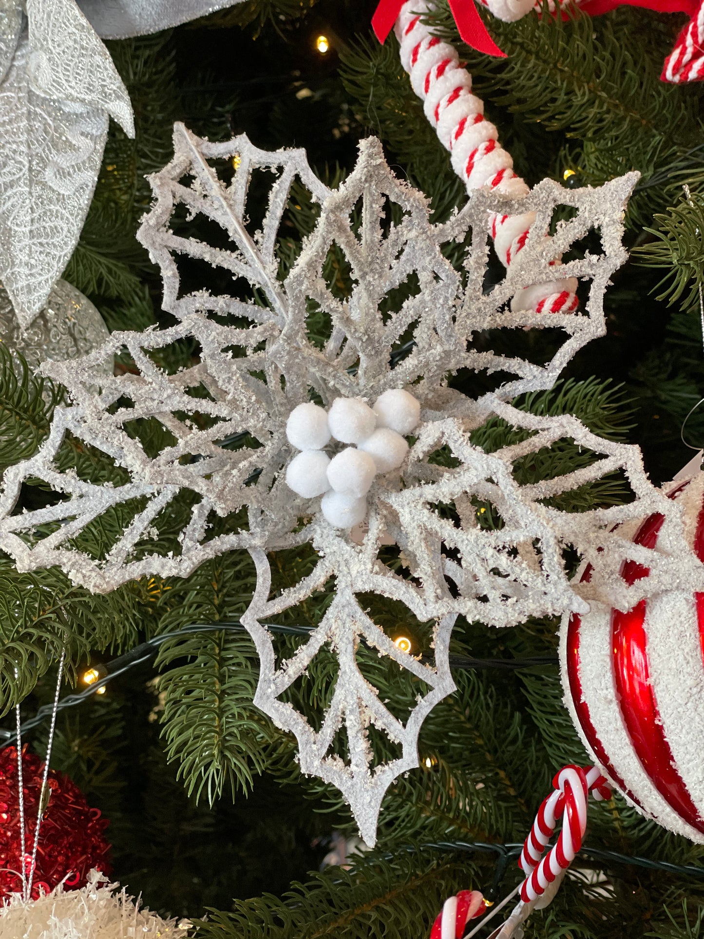 Frosted Silver Poinsettia