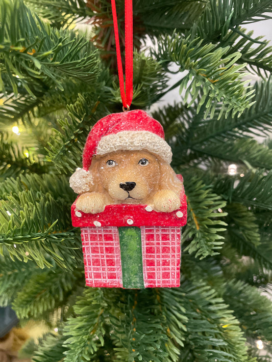 Raz Puppy in Gift Ornament