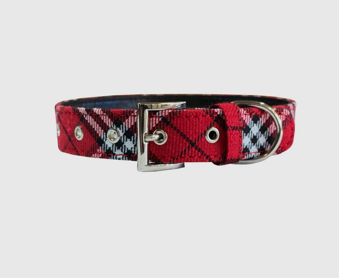 Plaid Collar Medium