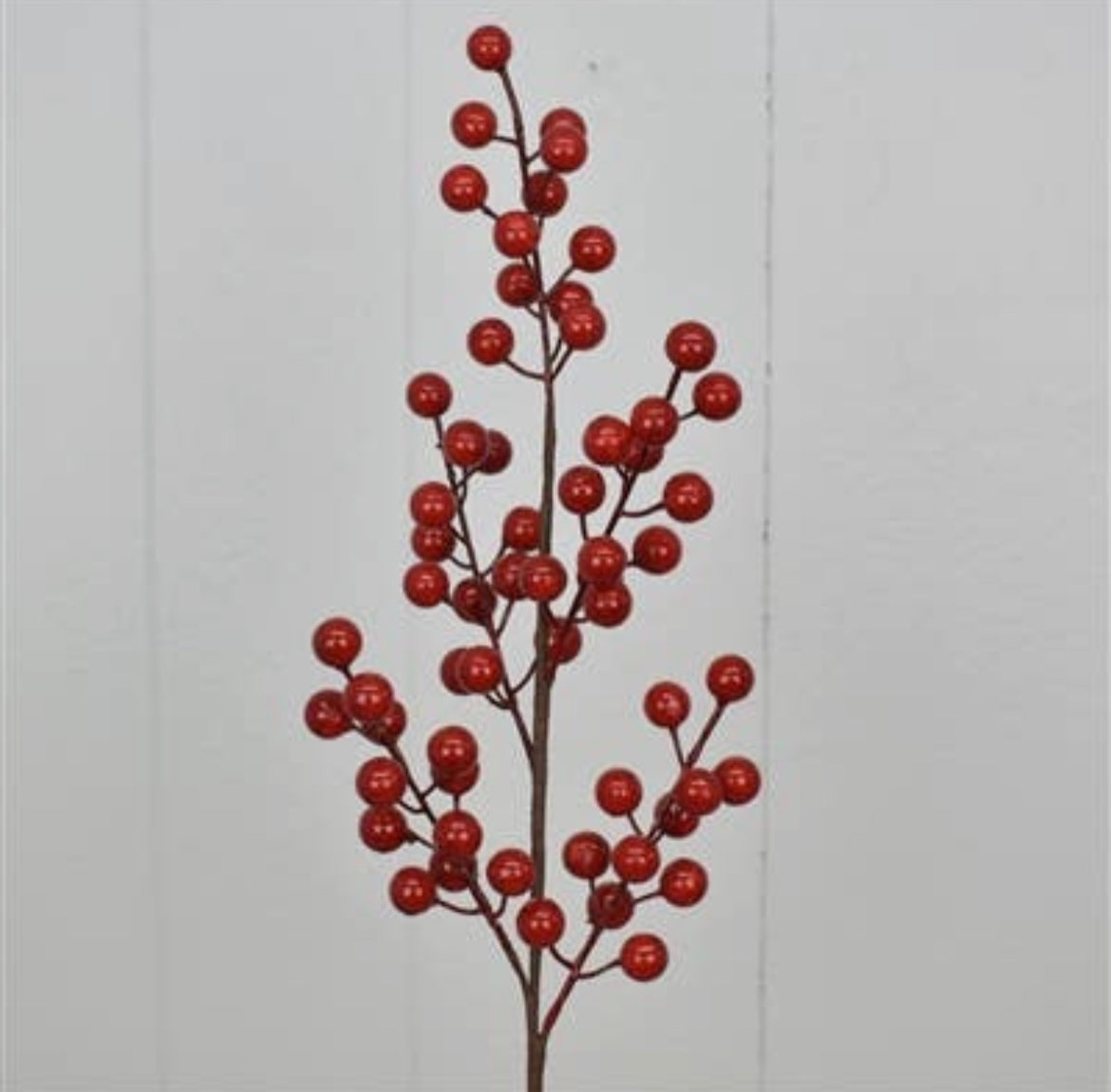 Hawthorne Berry Spray